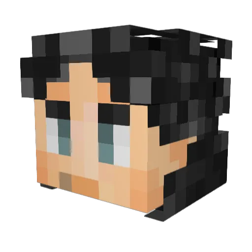 LeftmostWheat41 Minecraft avatar head, 3D render