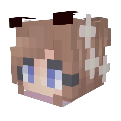 LeftwardSoda990 Minecraft avatar head, 3D render