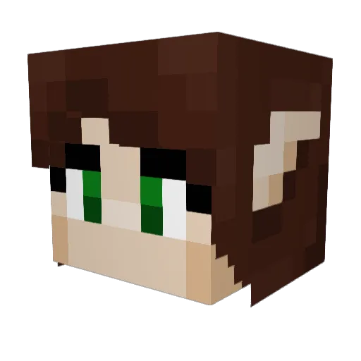Lefty2137 Minecraft avatar head, 3D render