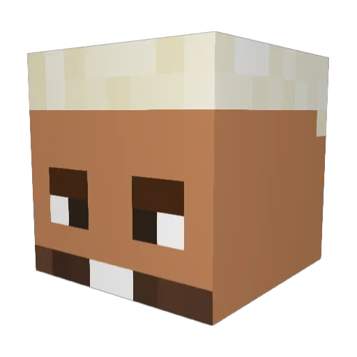 Lefty__47 Minecraft avatar head, 3D render