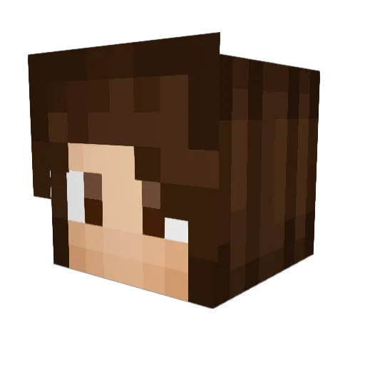 LegASeaTurtle Minecraft avatar head, 3D render
