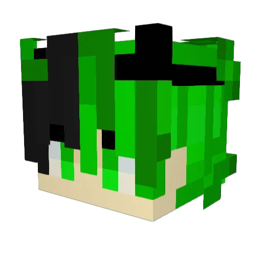 LegacyBoi18273 Minecraft avatar head, 3D render