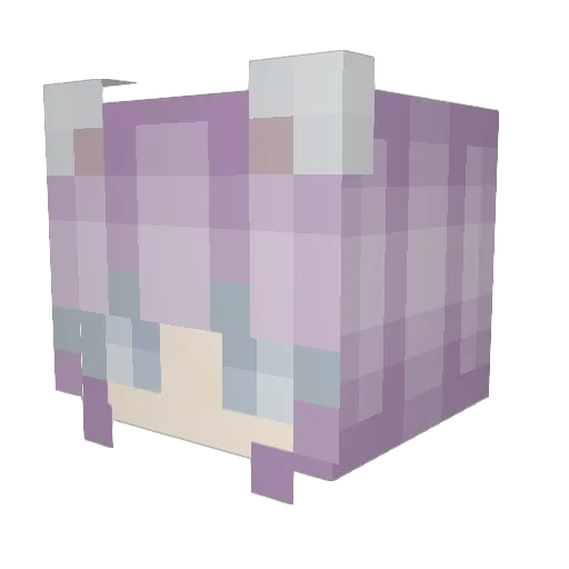 LegacyOrca69 Minecraft avatar head, 3D render