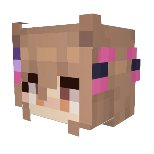LegalPizza Minecraft avatar head, 3D render