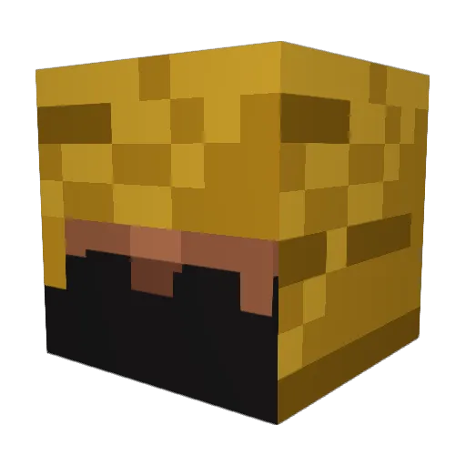 Legalpainter141 Minecraft avatar head, 3D render