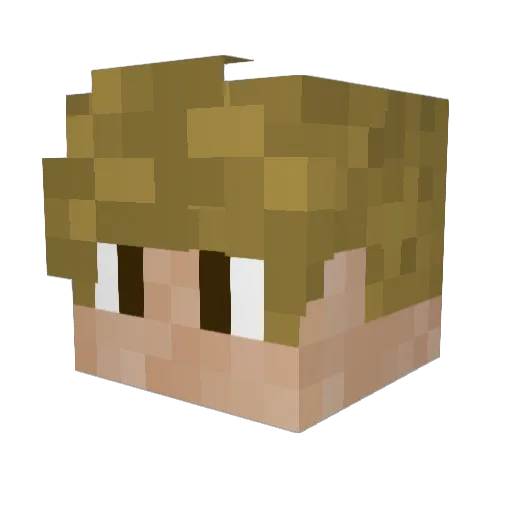LegendFire100 Minecraft avatar head, 3D render