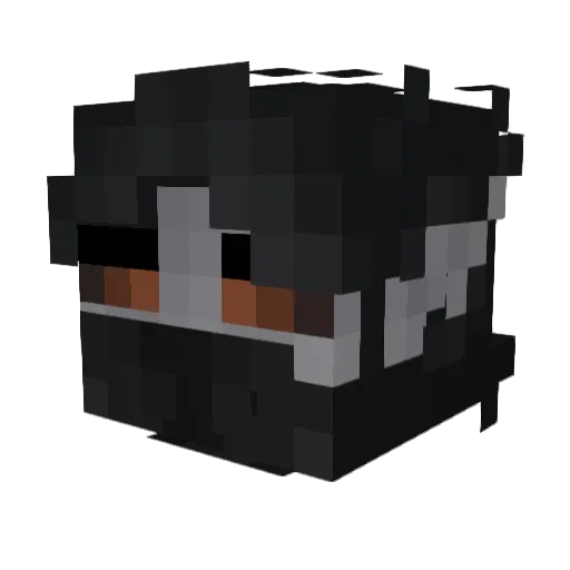LegendaryEye410 Minecraft avatar head, 3D render