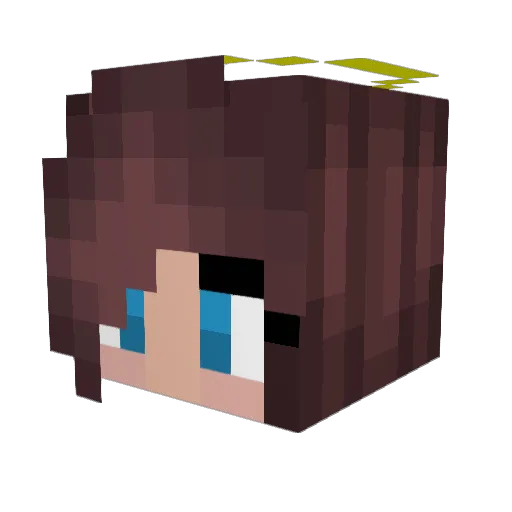 LegendaryJacky Minecraft avatar head, 3D render