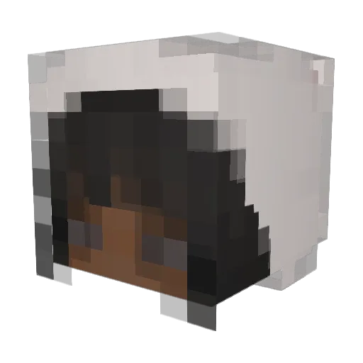 Legendary_Noob64 Minecraft avatar head, 3D render