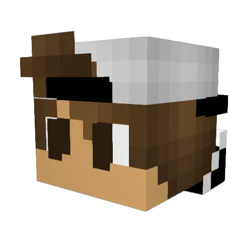 LegendofHappy Minecraft avatar head, 3D render