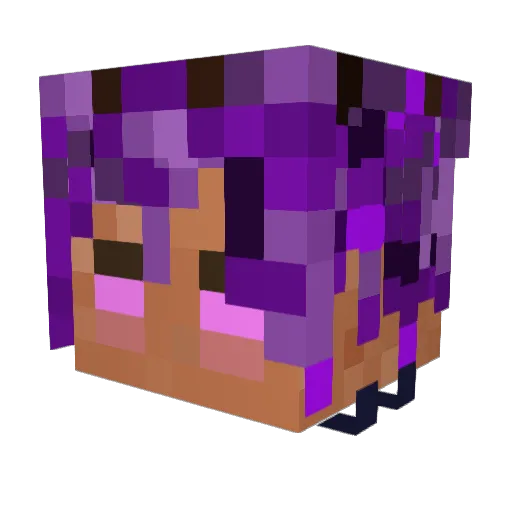 LegendsZx07 Minecraft avatar head, 3D render