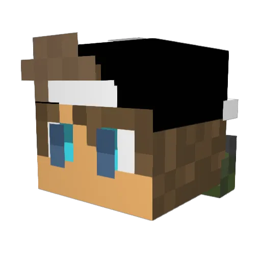 Legere2345 Minecraft avatar head, 3D render