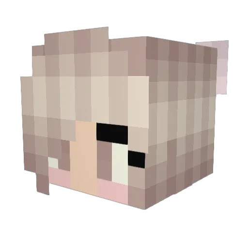 LeggyOstrich Minecraft avatar head, 3D render