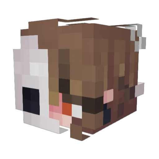 LegibleBanjo Minecraft avatar head, 3D render