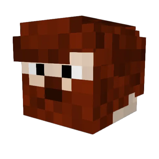 LegitJestAiden Minecraft avatar head, 3D render