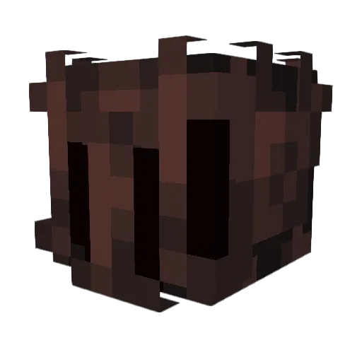 Legit_cookie_ Minecraft avatar head, 3D render