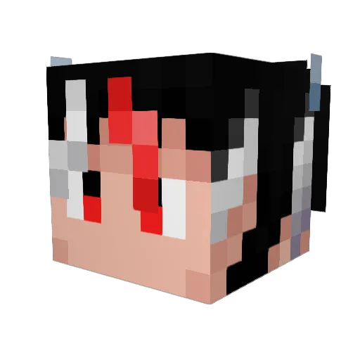 LeglessNinja Minecraft avatar head, 3D render