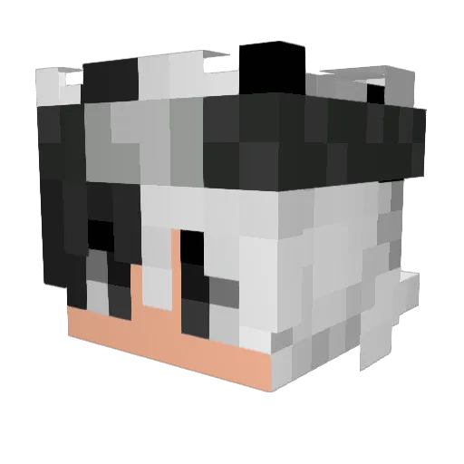 LegoBatman0 Minecraft avatar head, 3D render