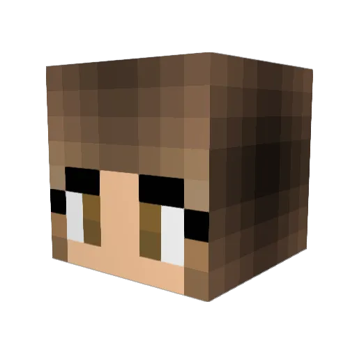 LegoRockStar109 Minecraft avatar head, 3D render