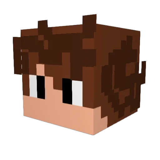 Legoguy19 Minecraft avatar head, 3D render