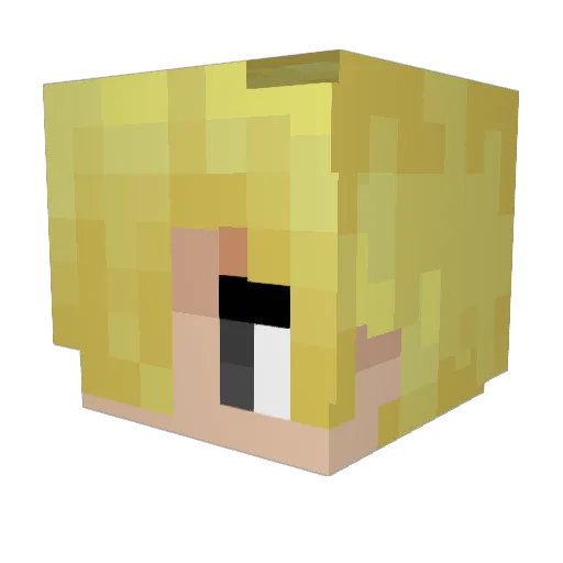 Legoking4564 Minecraft avatar head, 3D render