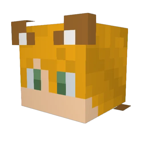 Legolaaas Minecraft avatar head, 3D render