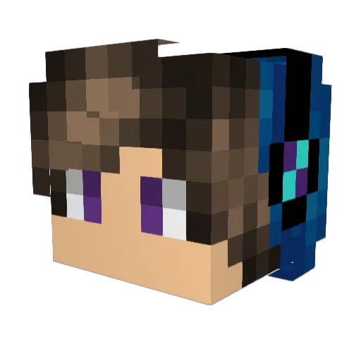 LegonAaron6 Minecraft avatar head, 3D render