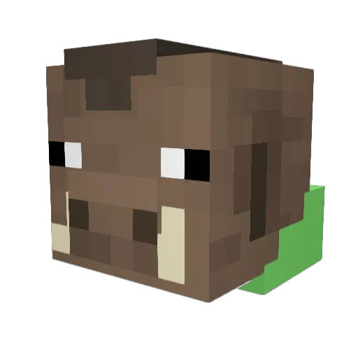 Legrab04 Minecraft avatar head, 3D render