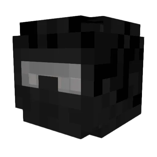 Leha_2007 Minecraft avatar head, 3D render