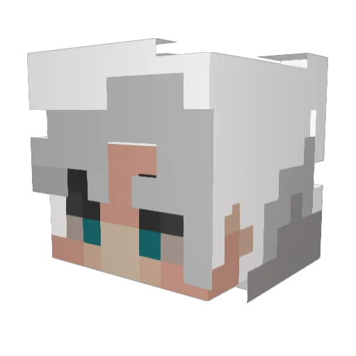 Lehanbal Minecraft avatar head, 3D render