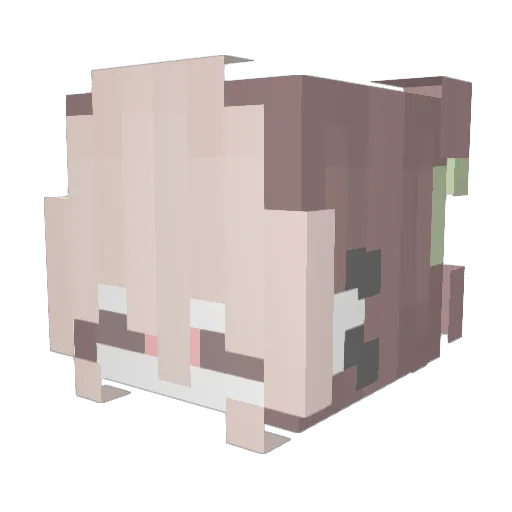 Lehoo_216 Minecraft avatar head, 3D render