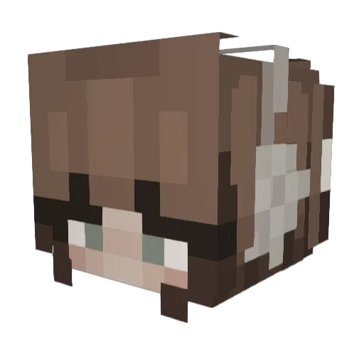 LeiLaulu Minecraft avatar head, 3D render