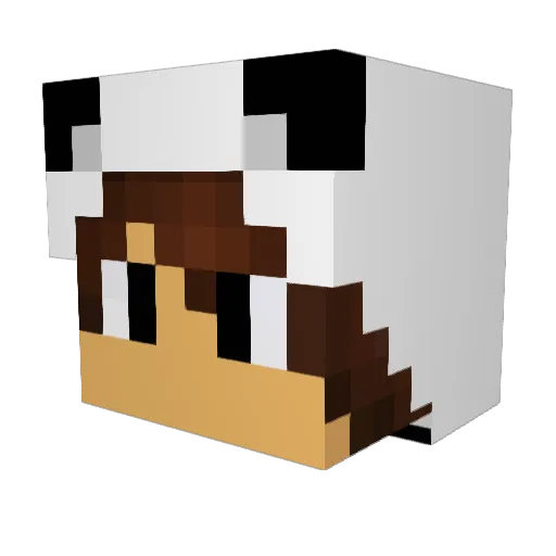 LeiNazu15 Minecraft avatar head, 3D render