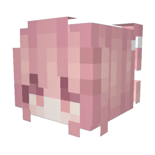 LeiShin_ Minecraft avatar head, 3D render