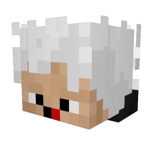 LeiTogUinHo Minecraft avatar head, 3D render