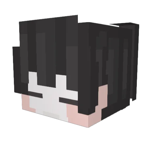 Lei_kim Minecraft avatar head, 3D render