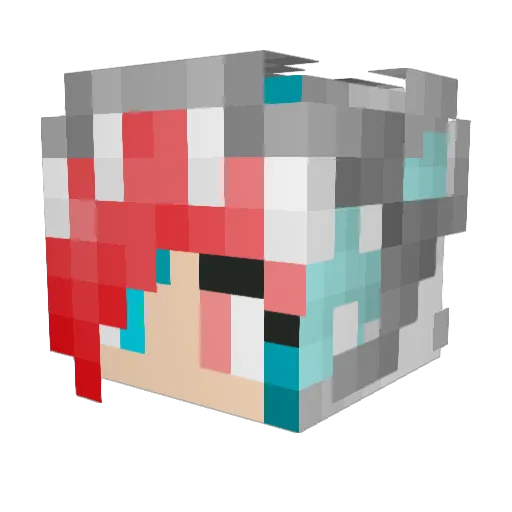 Leia135 Minecraft avatar head, 3D render