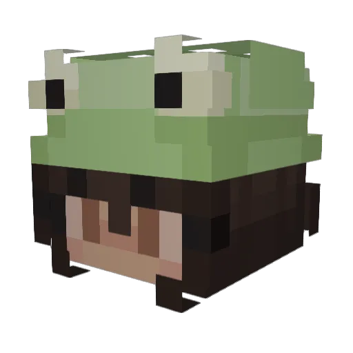 LeiaBunzz Minecraft avatar head, 3D render