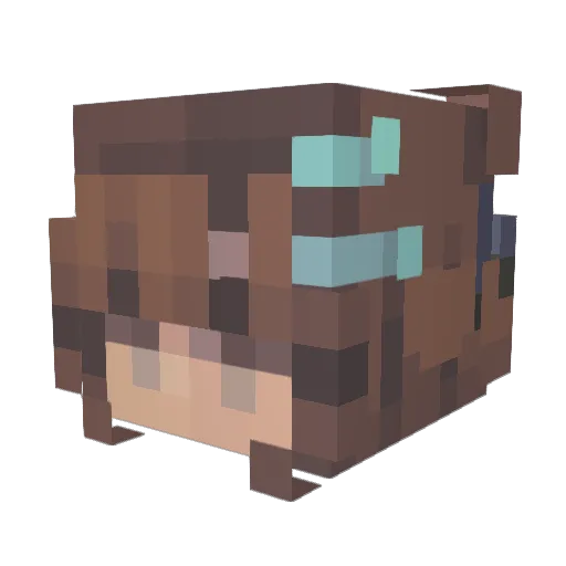 LeiaOrchidee Minecraft avatar head, 3D render