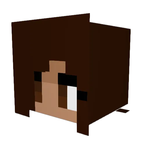 LeiaSheRa Minecraft avatar head, 3D render