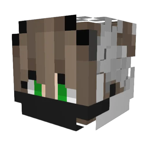 LeiaXP Minecraft avatar head, 3D render