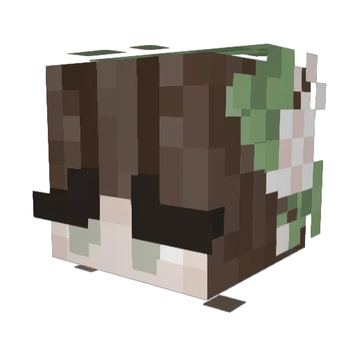 Leia_69 Minecraft avatar head, 3D render