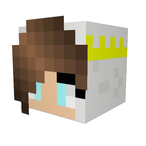Leia_Awoo Minecraft avatar head, 3D render