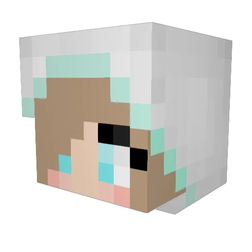 Leiane Minecraft avatar head, 3D render