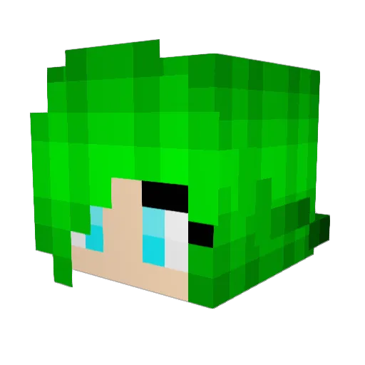 Leibeee Minecraft avatar head, 3D render