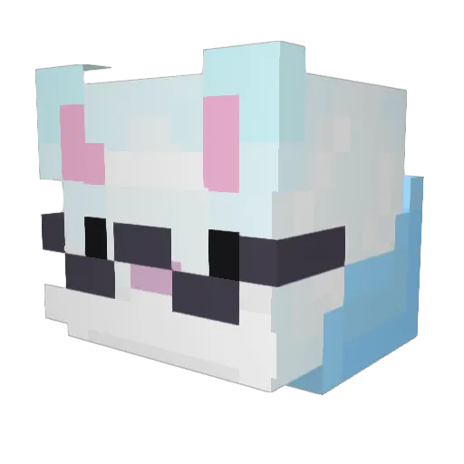 Leichaaan Minecraft avatar head, 3D render