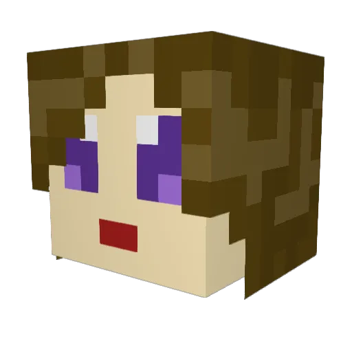 LeichteBeute510 Minecraft avatar head, 3D render