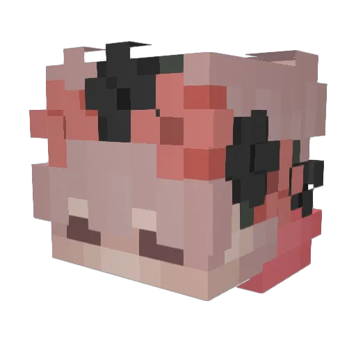 Leicykun Minecraft avatar head, 3D render