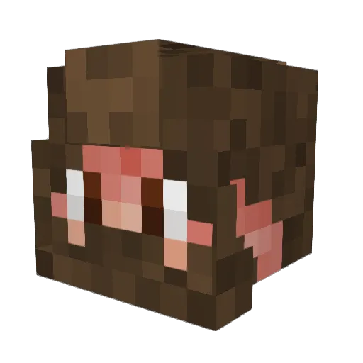 Leidon Minecraft avatar head, 3D render