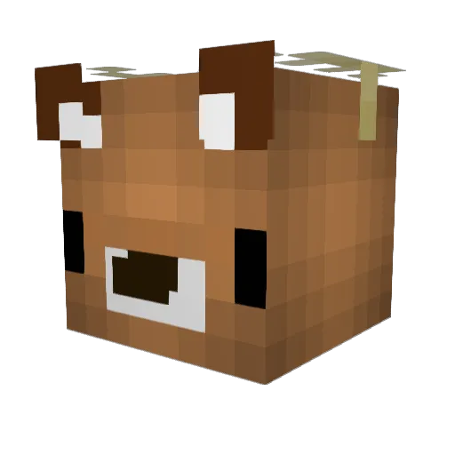 Leigh0826 Minecraft avatar head, 3D render